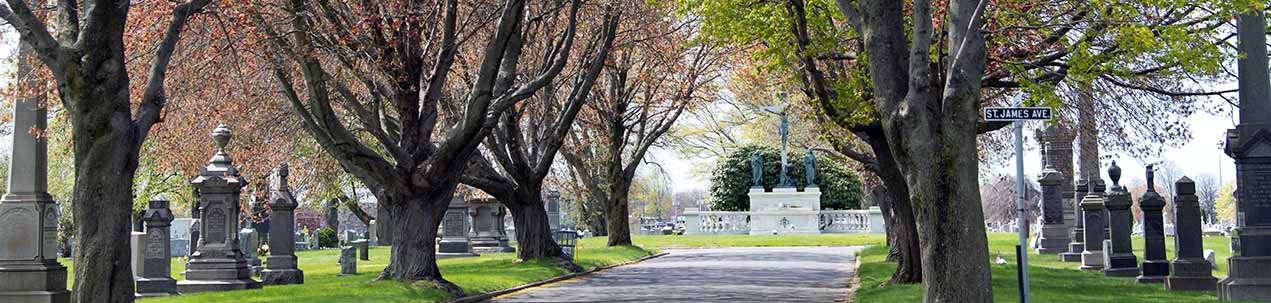 St Michael Cemetery overview