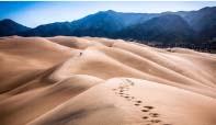 desert footprints