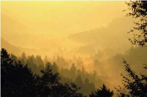 Mystical Mountain