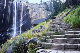 Rocky Path Through Life