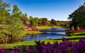 God's Garden