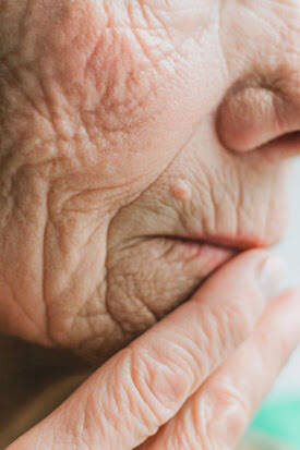 A Grandmother's Love