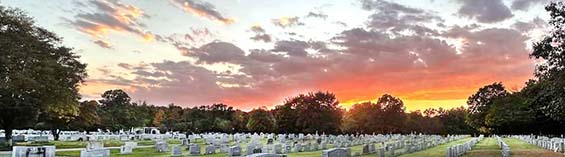 Bereavement website section image