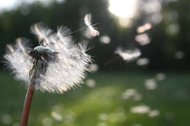 Whispers from Heaven