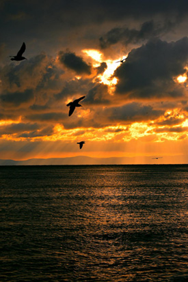 Sunset