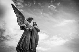 Stubborn Angels