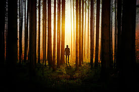Man walking through the sunlight