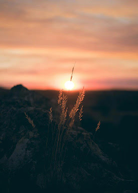 A sunrise in a desert