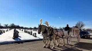 Horse drawn hearse