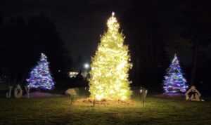 Christmas Tree