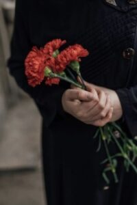 red carnations