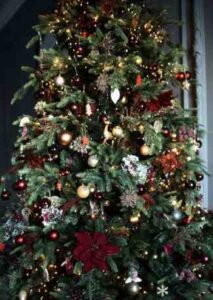 Christmas Tree
