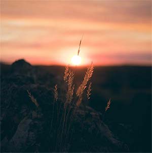 A Blurry Sunset