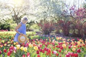 Girl in Field of Flowers