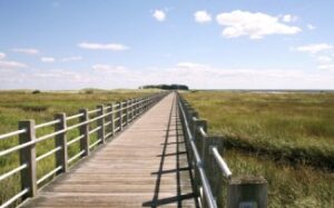 Silver Sands Park Boardwalk