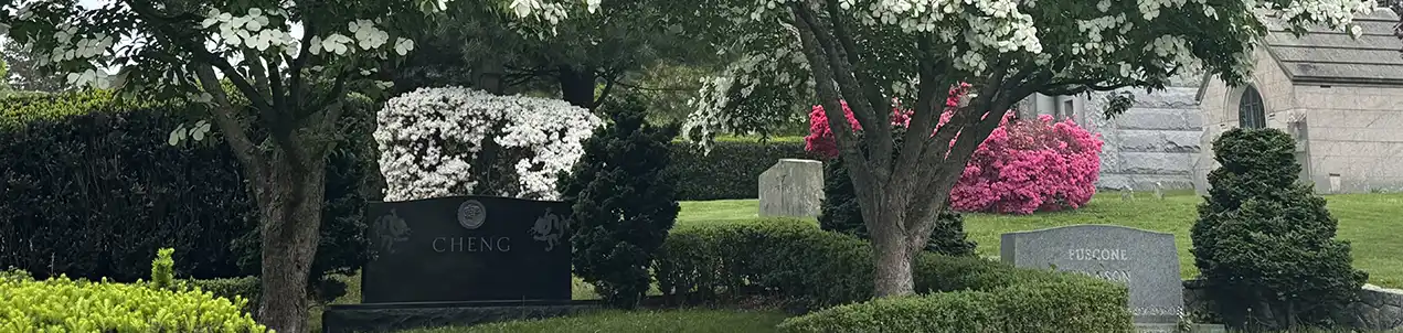 St Mary Cemetery Spring 2025