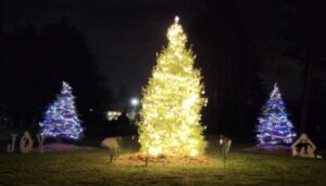 Tree Of Remembrance