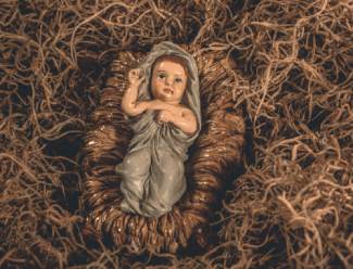 Jesus in Manger
