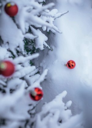 Red Ornaments on Snowy Tree