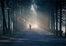 Runner along wooded path
