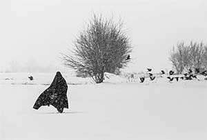 Winter scene